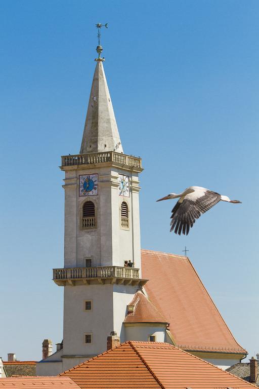 Unser Rosa Haus Fuer Sie Руст Номер фото
